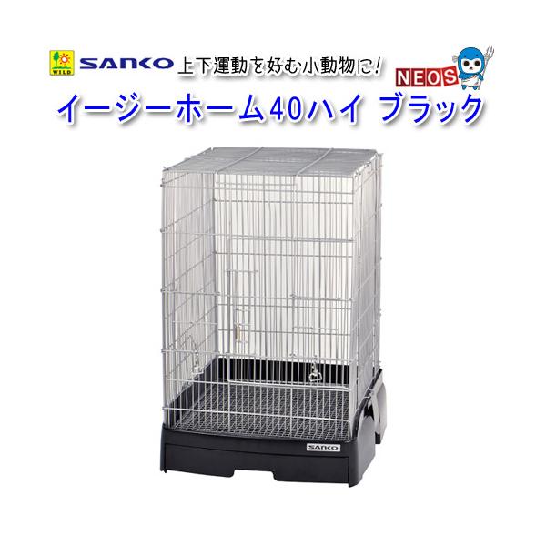 fish-y_sanko20220502-9