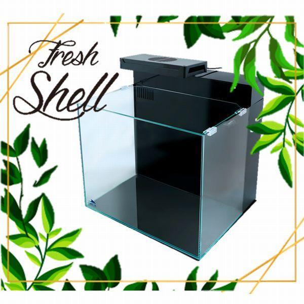 レッドシー 送料無料（北海道・沖縄除く） シェル2 フレッシュ