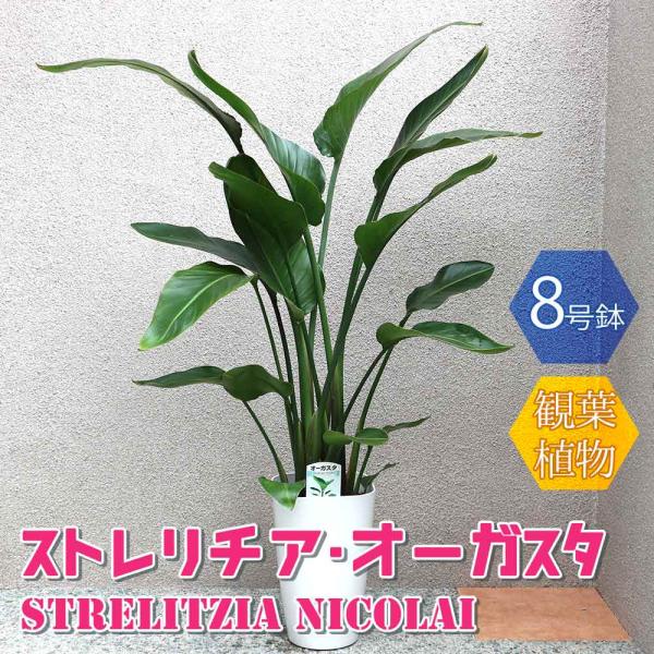 itempost_1-itanse-1049