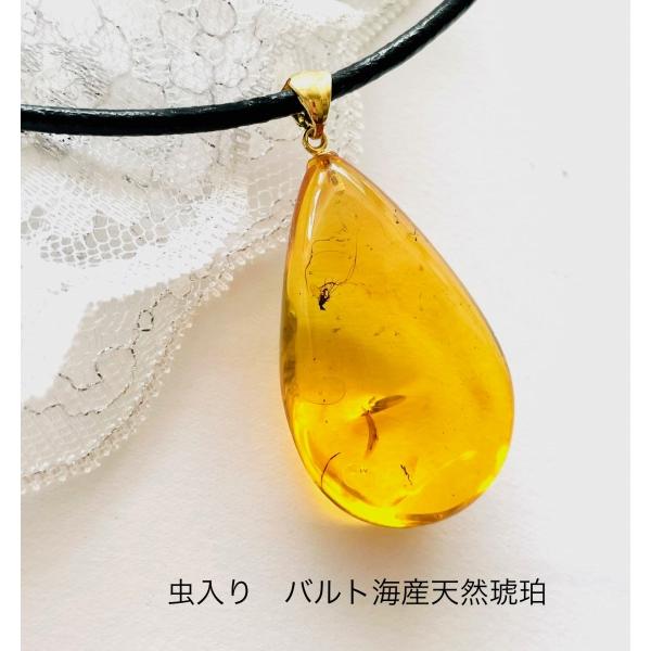 天然琥珀 虫入り約800g 特大 宝石鑑別書横10cm 縦19cm 厚さ約5cm 天然