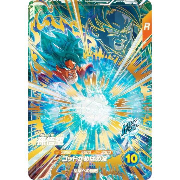 lead-netstore_ap2db242505tt001