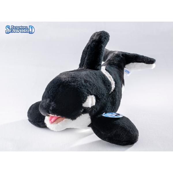 鴨川シーワールドオリジナルふわふわシャチぬいぐるみ L : 鴨川シー