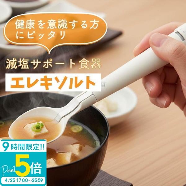 おいしいの、新しいかなえ方 キリン エレキソルト スプーン 減塩食品