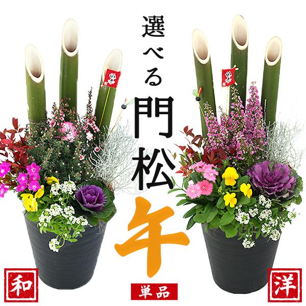 正月飾り 門松 送料無料『 お正月寄せ植え 』 単品1個 門松アレンジ