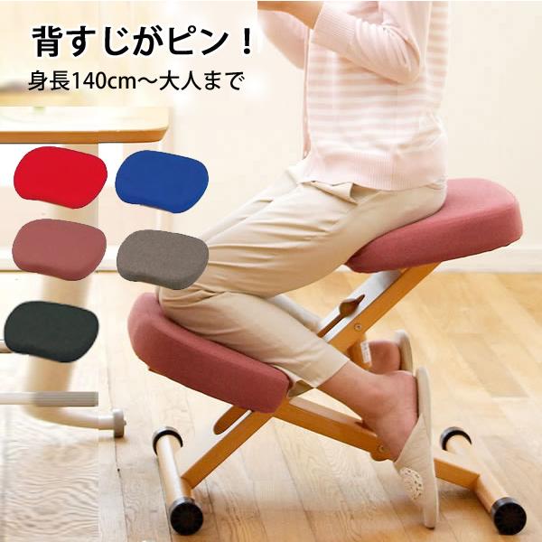 balans Easy バランスチェア Rybo 姿勢矯正 腰痛対策 Rybo リボ社 姿勢