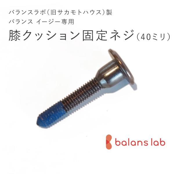 バランスラボ バランスラボ製バランス イージー：アフターパーツ／座面