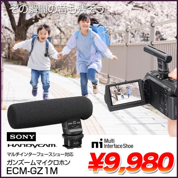 whatfun_sony-ecm-gz1m