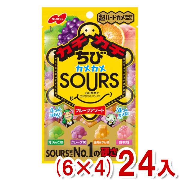 NOBEL ノーベル 70g カチカチちびカメカメサワーズグミ フルーツ