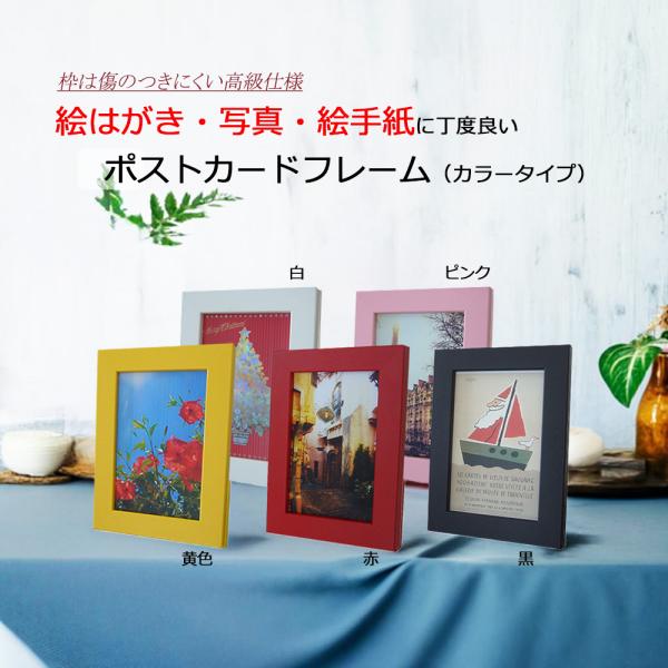 yamamoku-gifu_9000008p