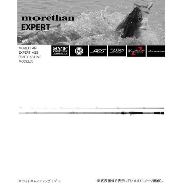 DAIWA（ダイワ） モアザン エキスパート AGS 93MLB ／シーバス