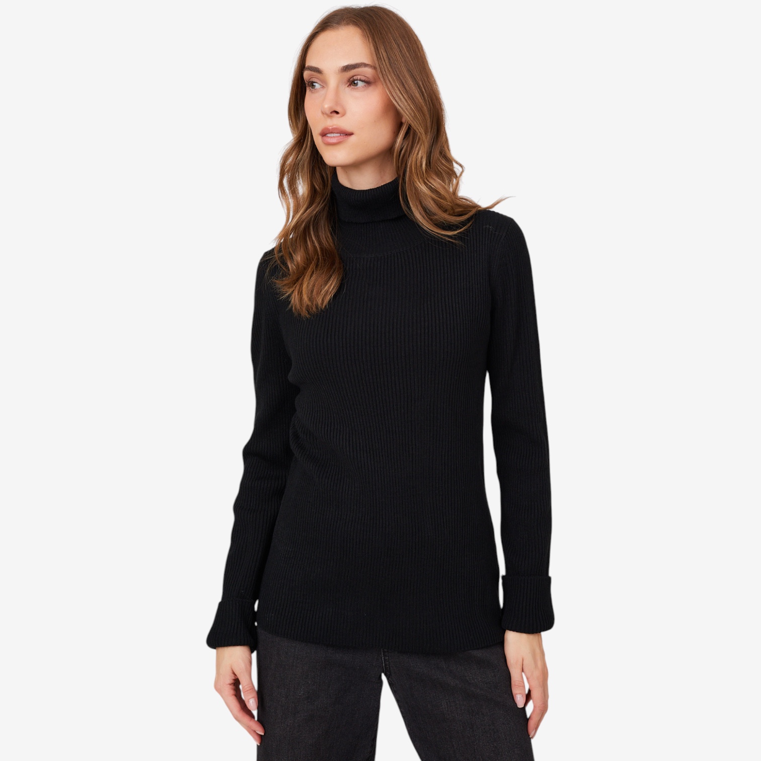 Guillaume Ribbed Turtleneck - TSC.ca
