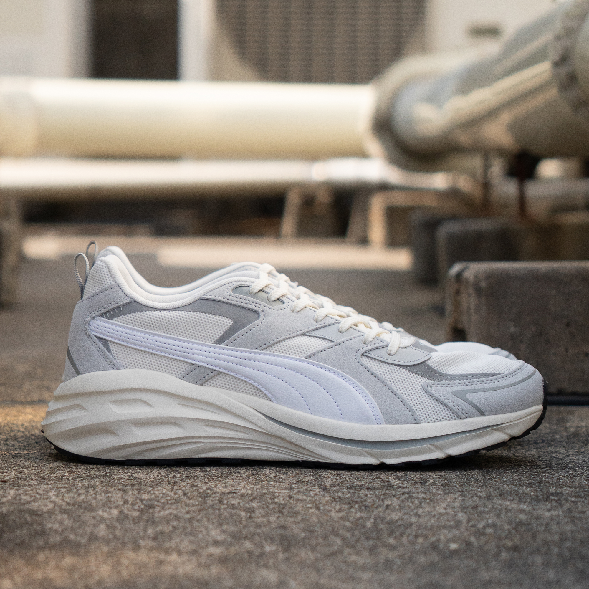 大きいサイズ【29cm 30cm】PUMA プーマ ヒプノティック LS 395295-02