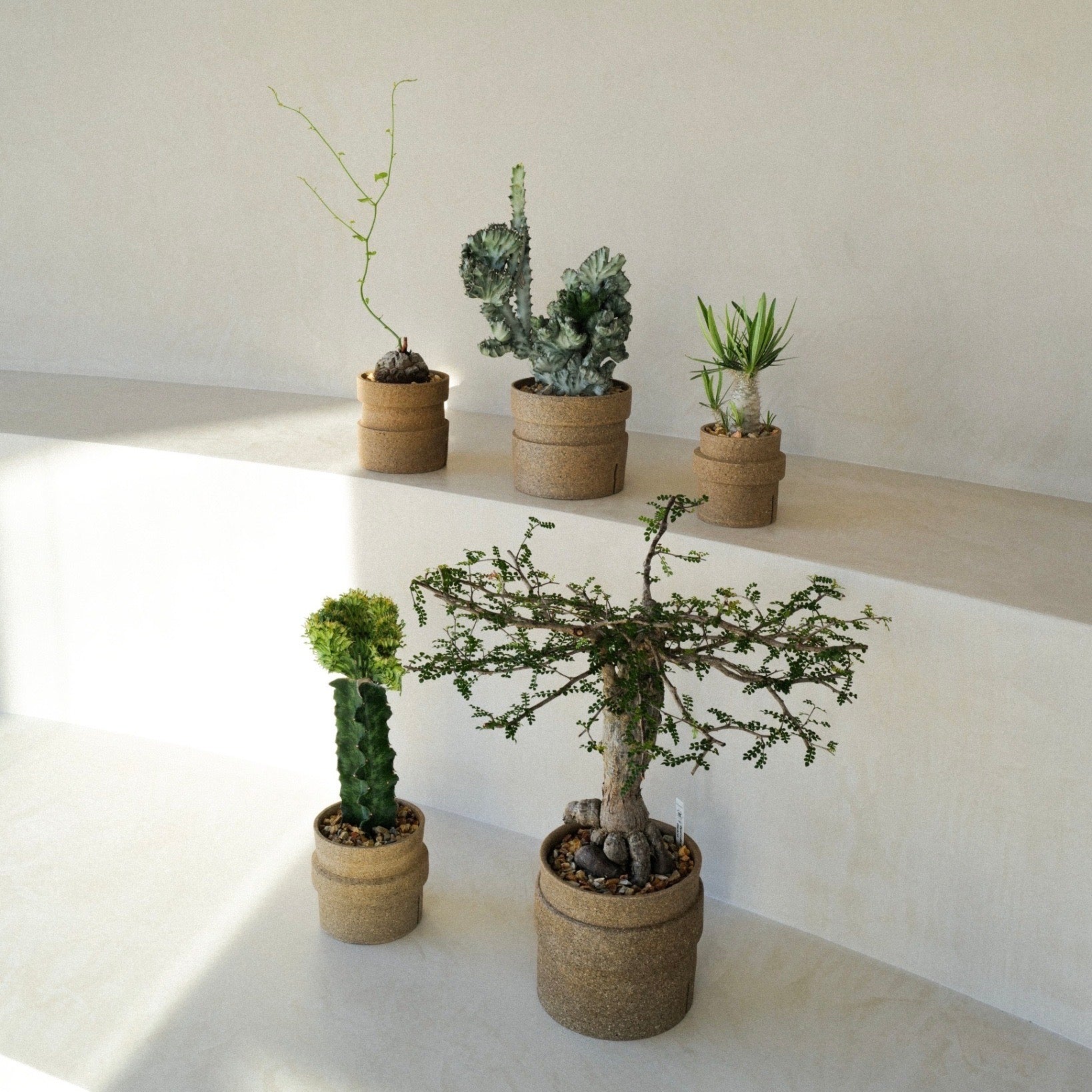 ICHI GALLERY × KAKUSEN-EN ORIGINAL POT DECOBOCO 凸凹 (イチ