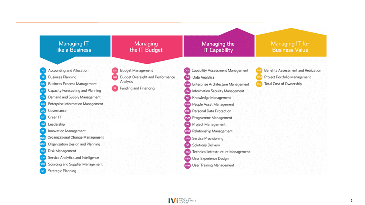 IT CAPABILTY MATURITY FRAMEWORK