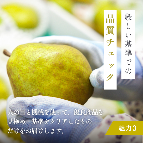 早割価格】山形ラ・フランス | 【JA公式】山形名産品を産地直送｜JAさ