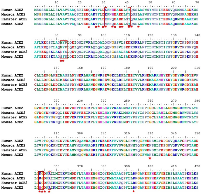 疾患モデル作製における動物種の選択 | コラム・特集 | JALAM 日本実験