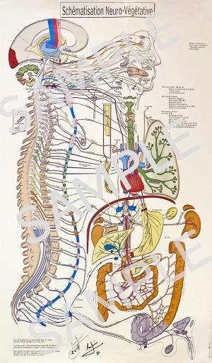 関連商品購入 | 日本オステオパシーメディスン協会