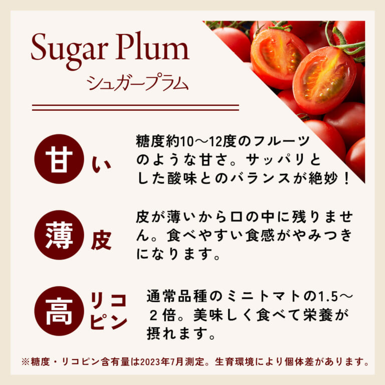 トマト様 フォロー割 専用出品 A様 フォロー割 専用出品 - メルカリ