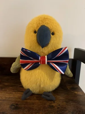 Budgeby Parrot Jellycat | Jelly Journal