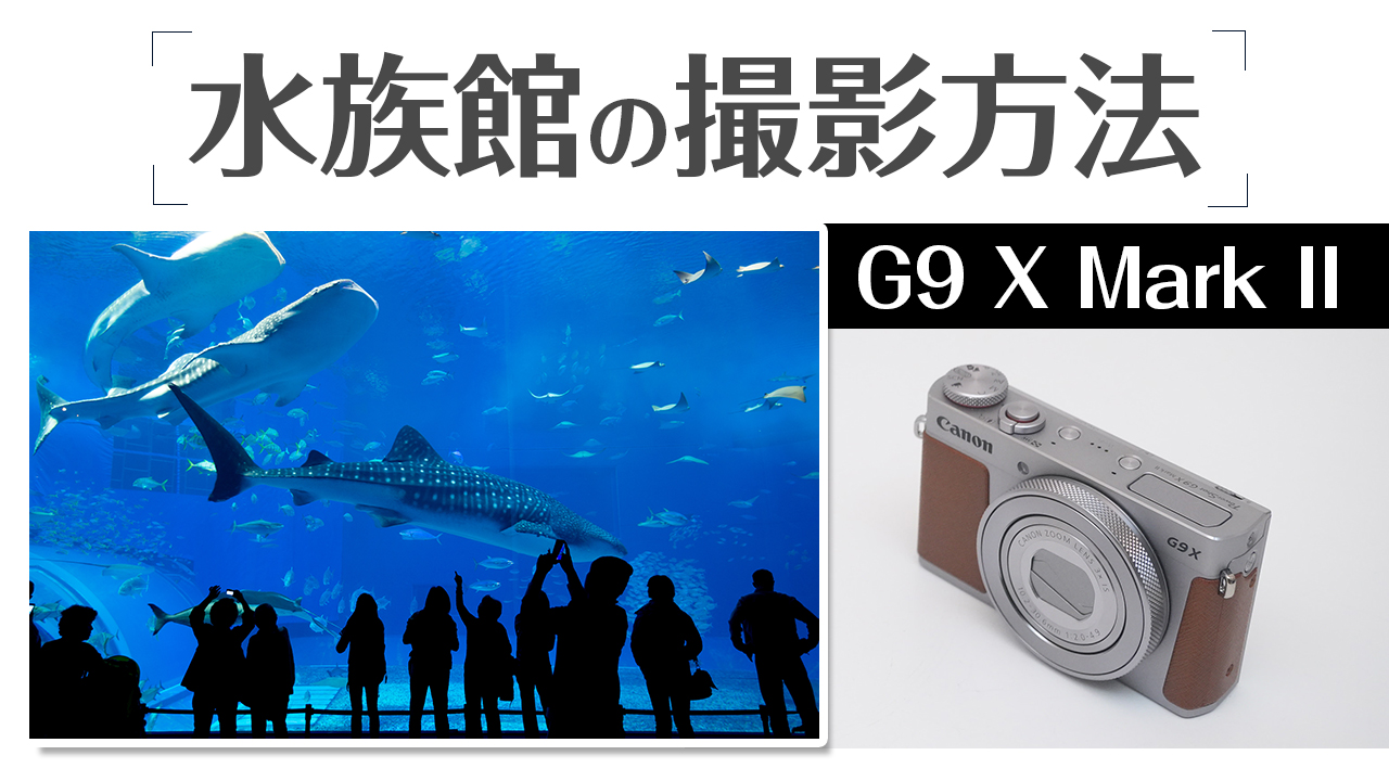 Canon PowerShot G9 X MarkⅡ シーン別に設定方法を徹底解説！初心者に
