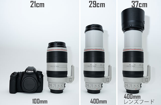 Canon EF100-400mm F4.5-5.6L IS II USM 実写レビュー - レビューから