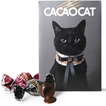 DADACA CACAOCATミックスCAT9個 1箱(1個×1個) DADACA 【通販モノタロウ】