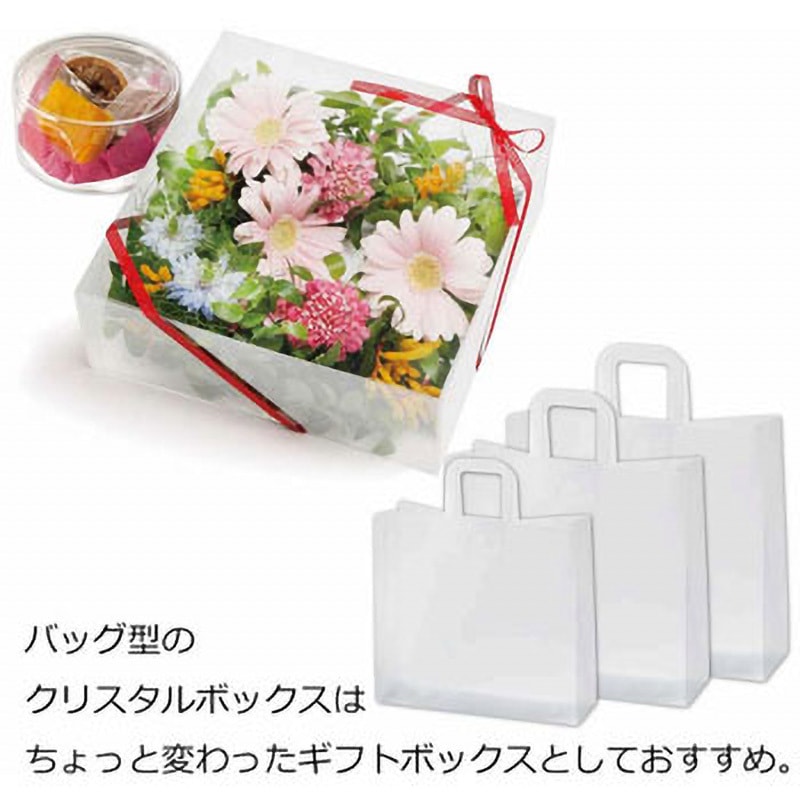 BAG L PPクリアボックス 1パック(10枚) HEIKO 【通販モノタロウ】