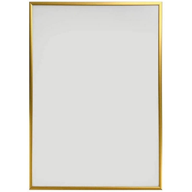 20167354 フィットフレーム APJ(アートプリントジャパン) ゴールド色