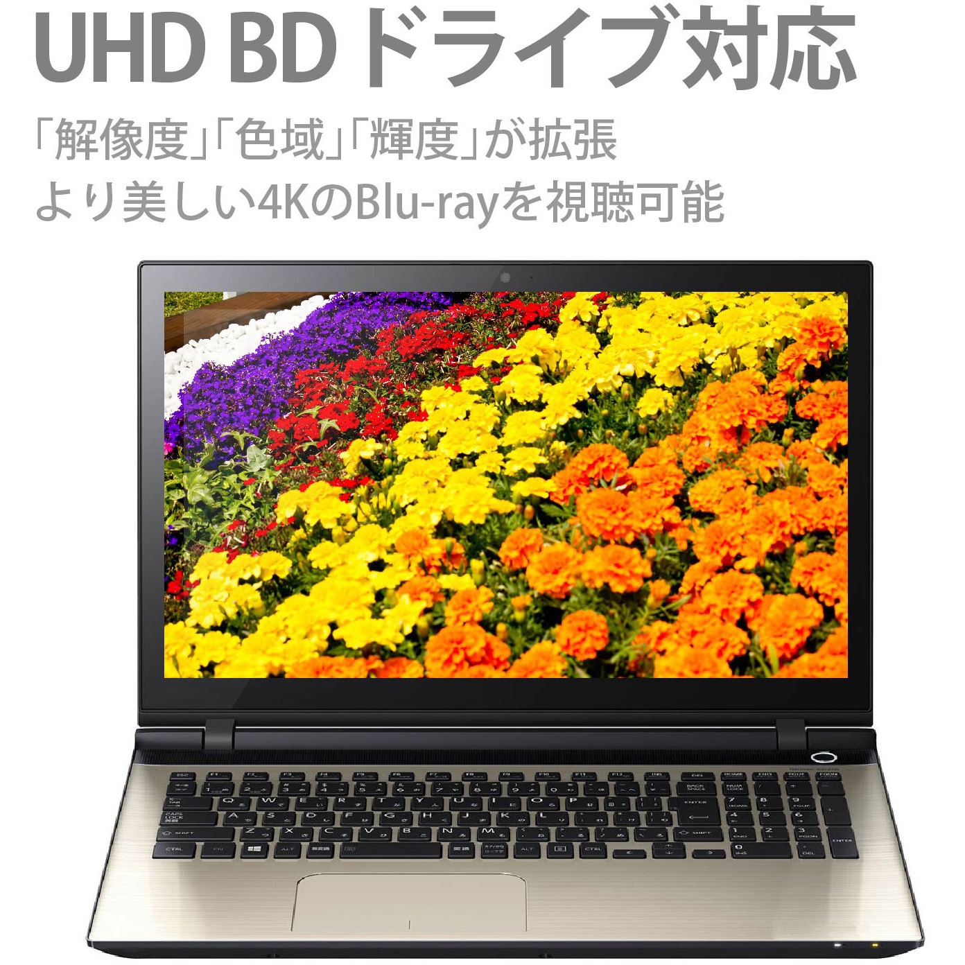 LBD-PVA6U3VBK UHD BD搭載 ポータブルBDドライブ 1個 ロジテック