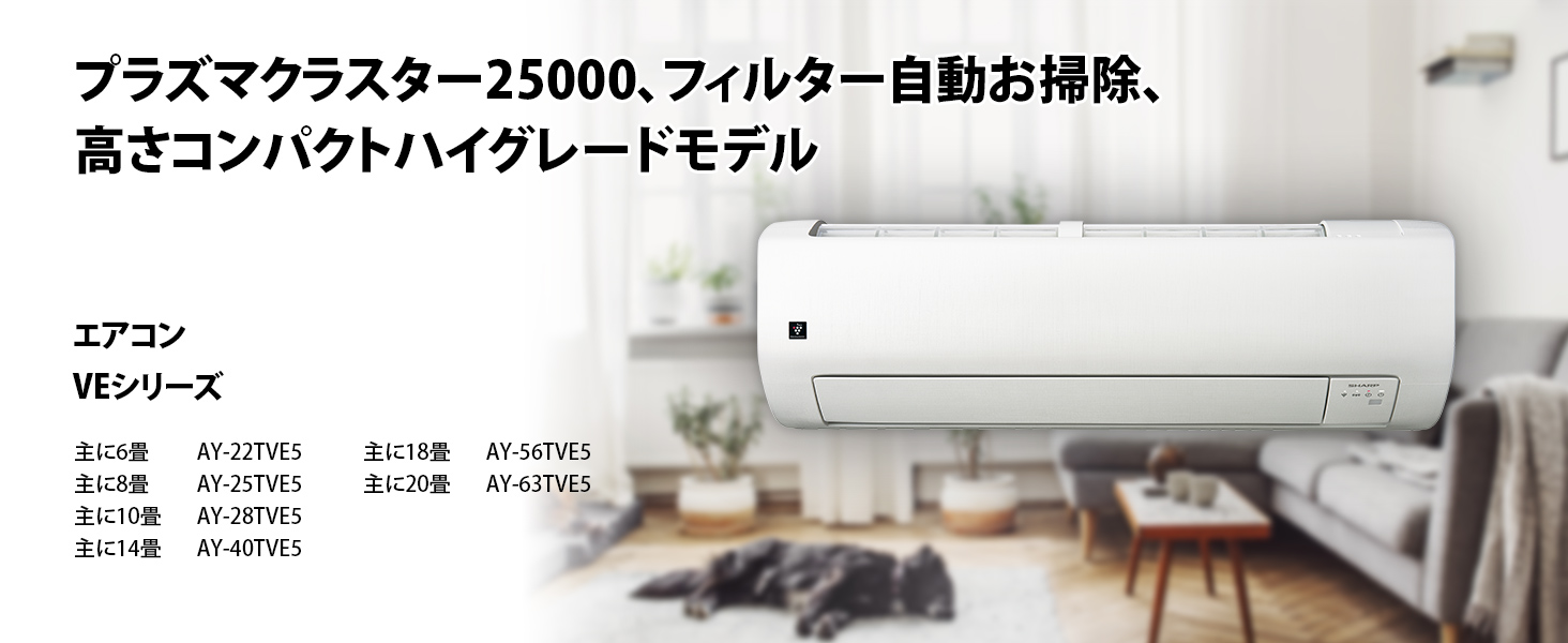 シャープ AY-22TVE5S 6畳向け 自動お掃除付き 冷暖房エアコン e angle