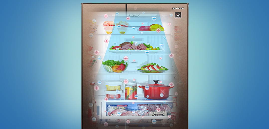 プラズマクラスター | 冷蔵庫：シャープ