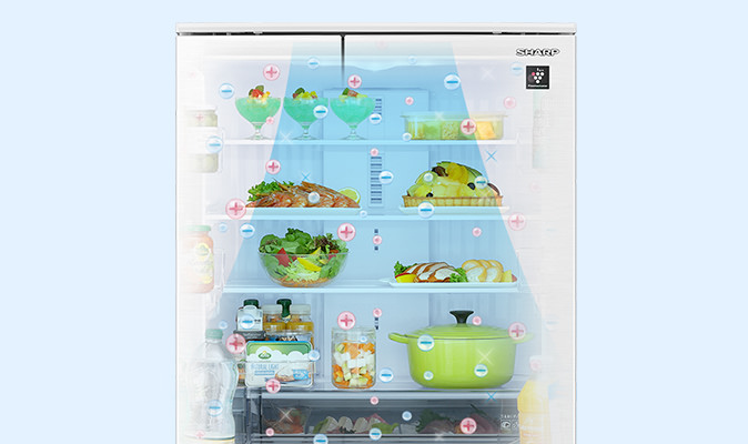 プラズマクラスター | SJ-MF51M | 冷蔵庫：シャープ