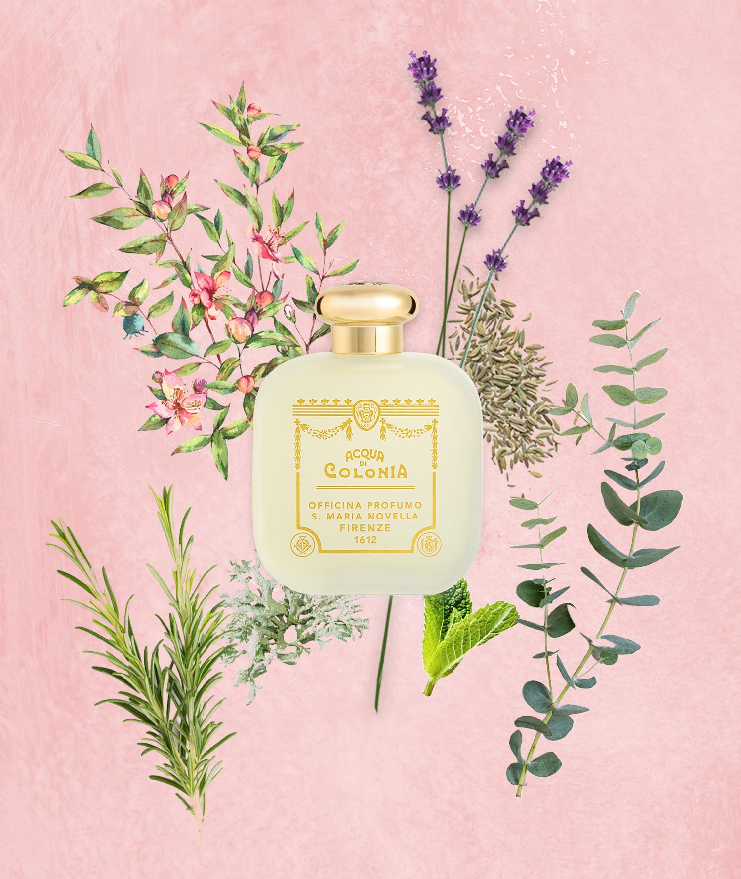 カーラ ロッサ 100ml｜サンタ・マリア・ノヴェッラ