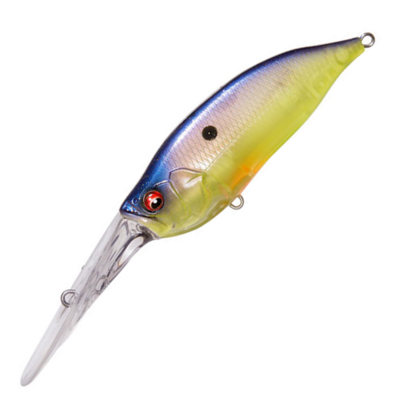 I x I SHAD TX [Brand New] – JAPAN FISHING TACKLE