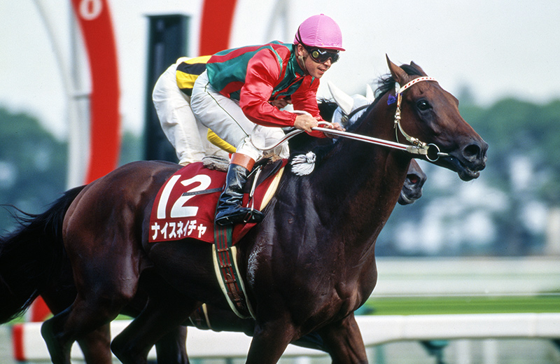ナイスネイチャ｜名馬メモリアル｜競馬情報ならJRA-VAN