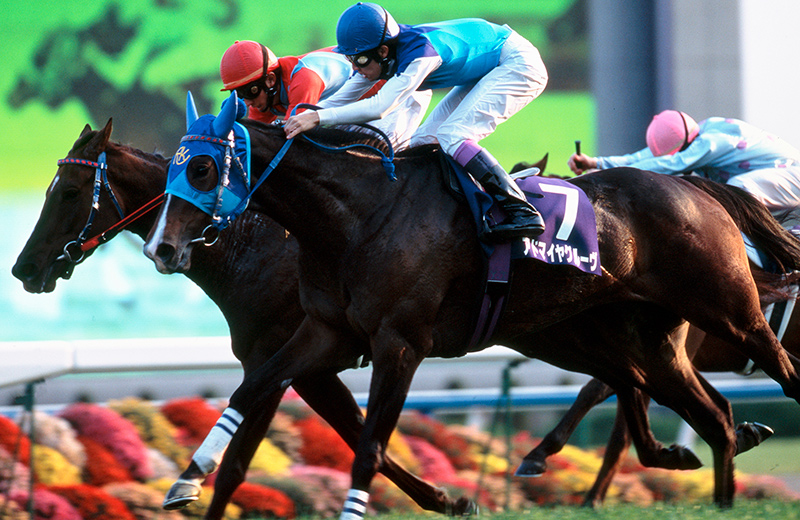 アドマイヤグルーヴ｜名馬メモリアル｜競馬情報ならJRA-VAN