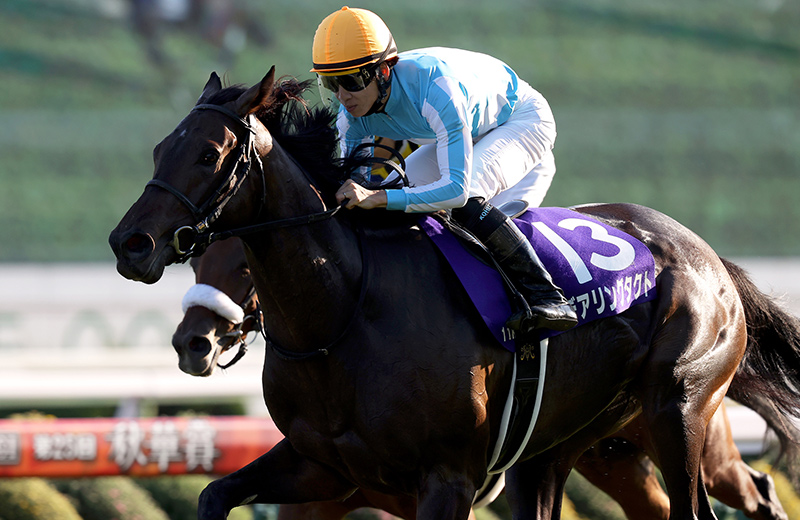 デアリングタクト｜名馬メモリアル｜競馬情報ならJRA-VAN