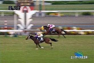 JRAホームページ｜データファイル｜競走成績データ