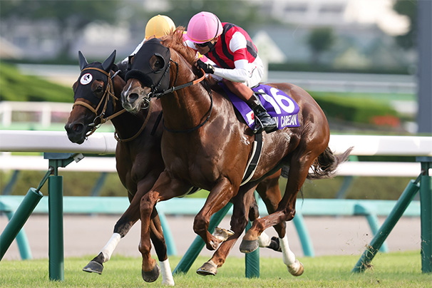 2025年 スプリンターズステークス JRA