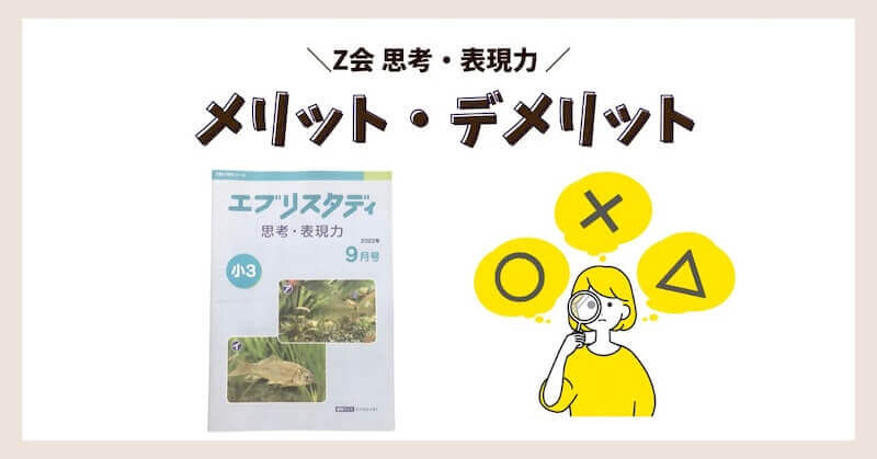未記入 Z会エブリスタディ思考・表現力 2023小3 Z会エブリスタディ