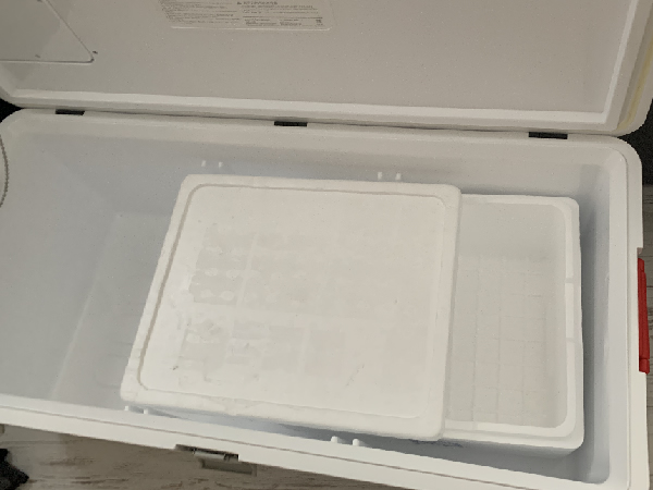 ホリデーワールドクーラー76Lを購入 – カヤックを漕いで釣り