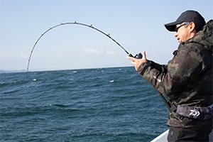 新製品】ダイワ：最高峰ソルティガLJ入荷！鹿児島谷山店 | かめや釣具