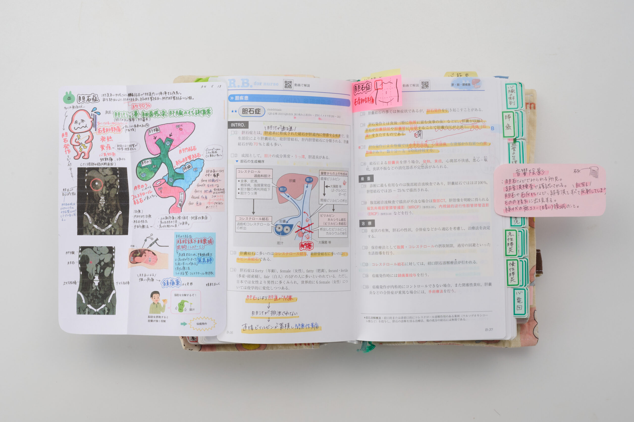 第4回 「レビューブックは自分なりの辞書！」maruさんのマイ・レビュー