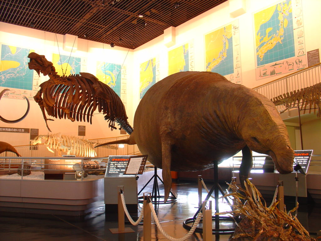 たかす百科事典 1992年 北海道滝川市 たかす百科事典 1992年 北海道