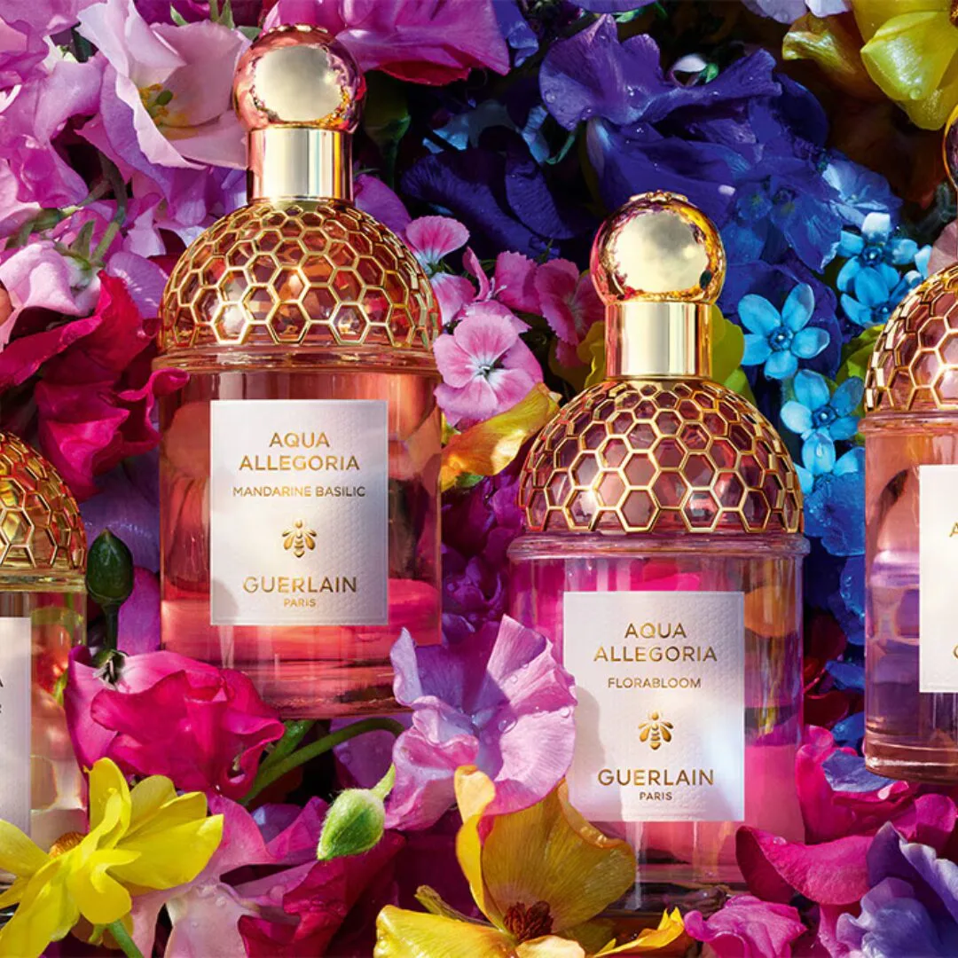 8fd3ed2ff25584d341243402fa8fad