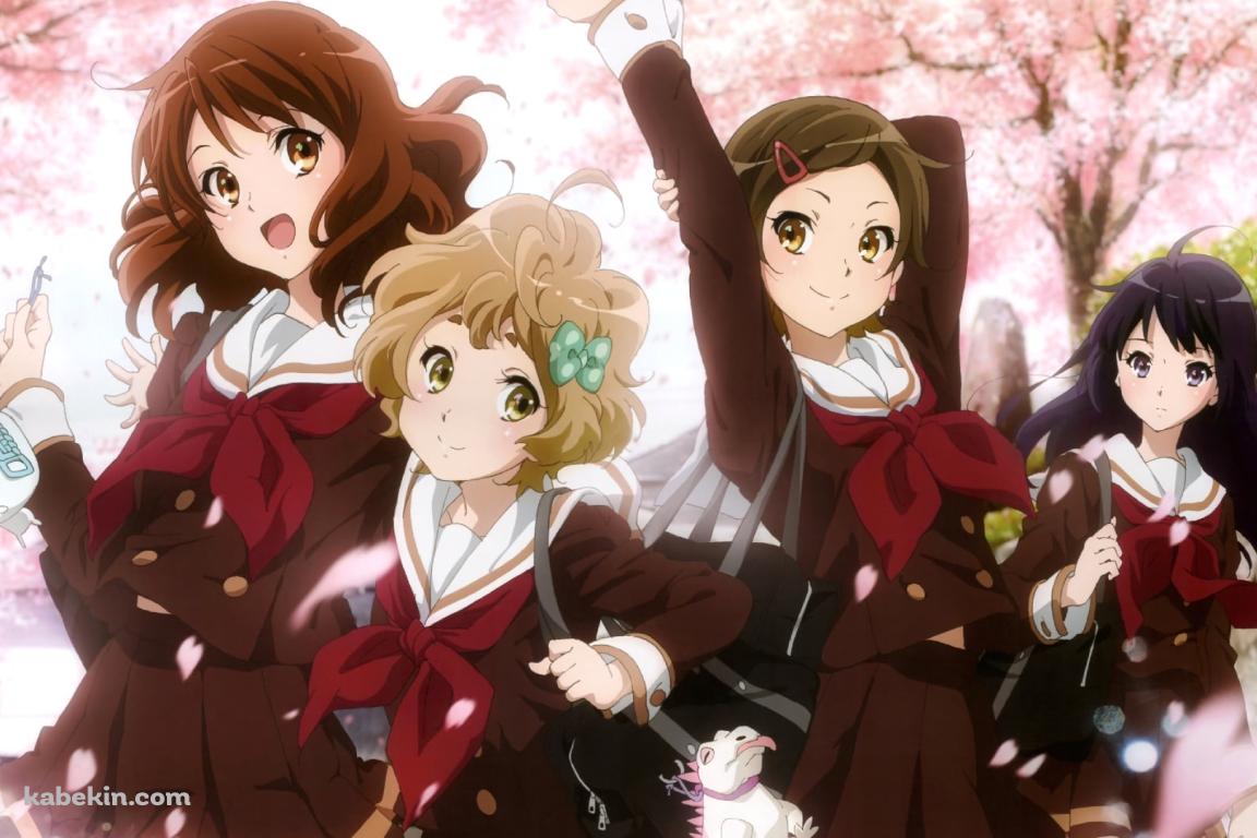 桜の花と高坂麗奈・黄前久美子・加藤葉月・川島緑輝 / 響け