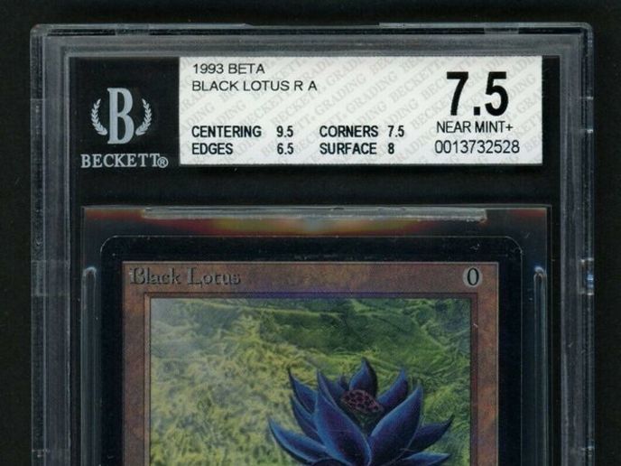 ブラックロータス(ぶらっくろーたす) とは｜KAI-YOU キーフレーズ