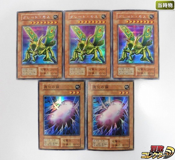 買取】遊戯王 初期 グレート・モス シークレットレア 進化の繭