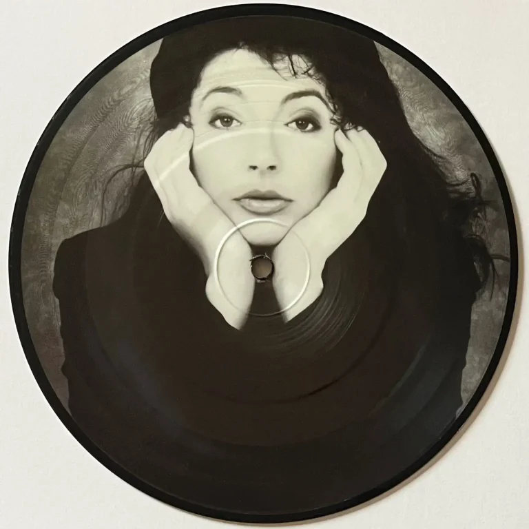 聴いて楽しい！ 眺めて楽しい！ ピクチャーレコード | MIONアップサイクル