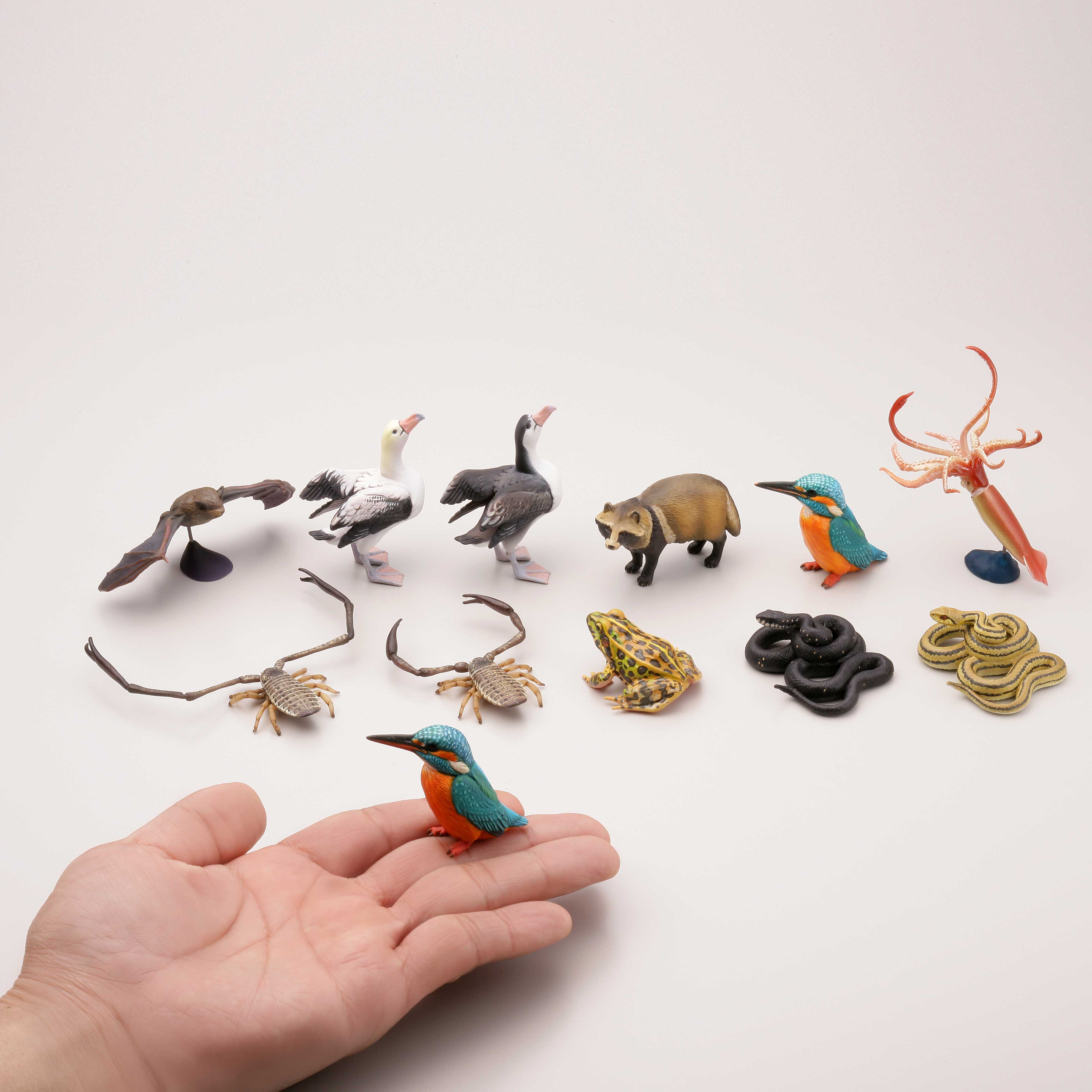 カプセルQミュージアム 日本の動物コレクション3 東京/巨大都市と離島